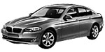 BMW F10 B200D Fault Code